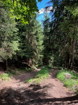 Trail