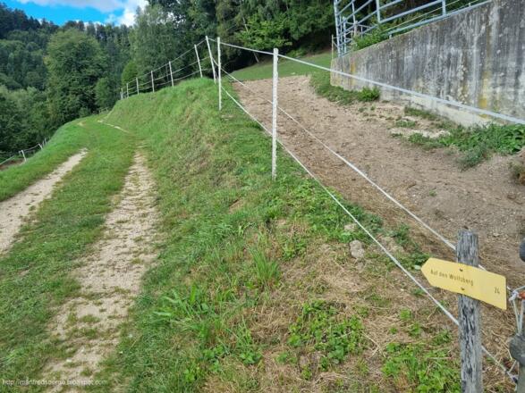 Viele Schilder leiten auf den Wolfsberg