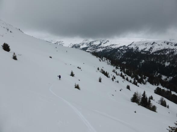 Oberhalb der Waldgrenze