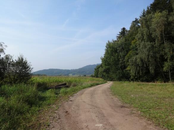Blick Richtung Haunkenzell