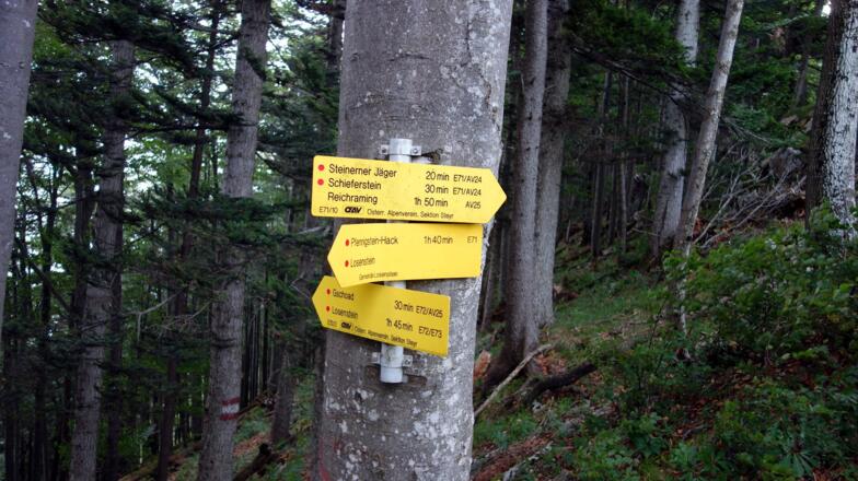 Gratweg AV 24 erreicht ~1030m