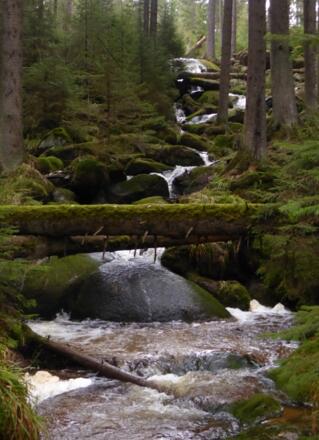 Kreuzbachwasserfälle