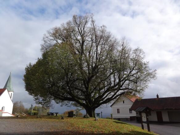 bei der Wallfahrtskirche St. Ursula