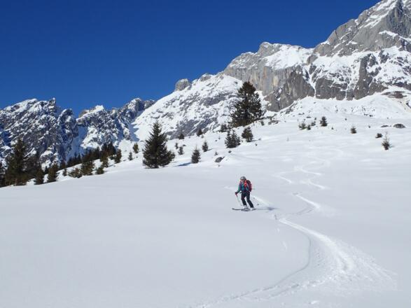 Im Hintergrund Birgkar und Hochkönig