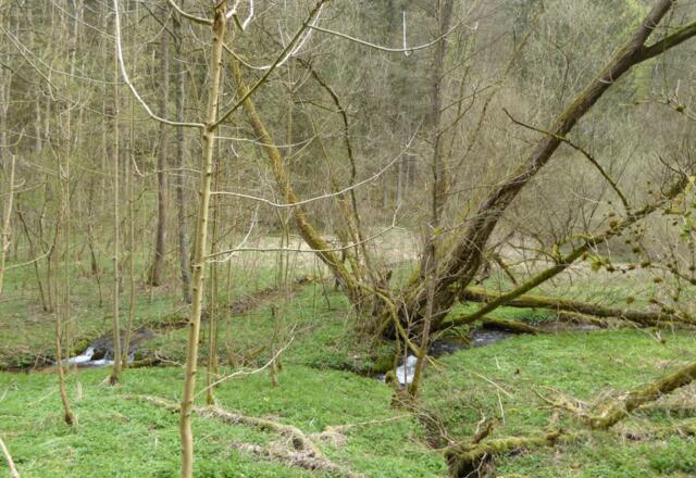 Kainsbachtal