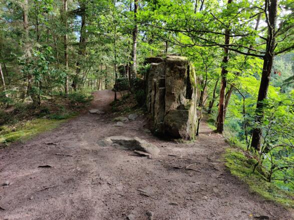Steinbruch im Reichswald