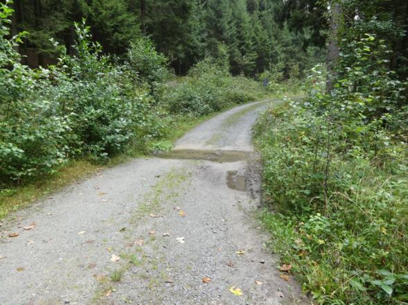 "wilde" Bachüberquerung vor Hunding