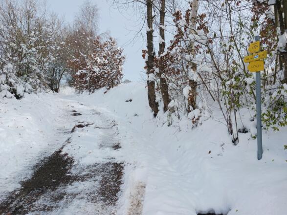 Haslach Nordwaldkammweg Hochgärten
