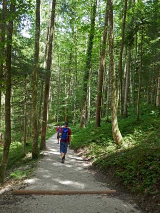 Auf dem Weg zum Aschauer Weiher