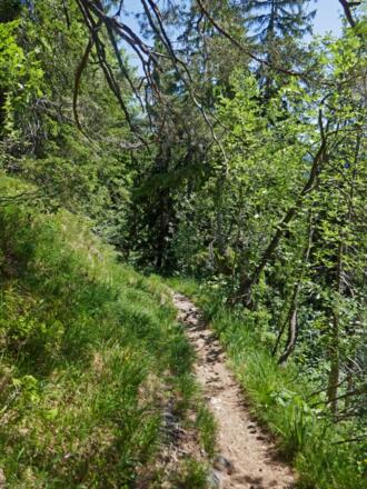 In der Flanke des Fernsebner Berges