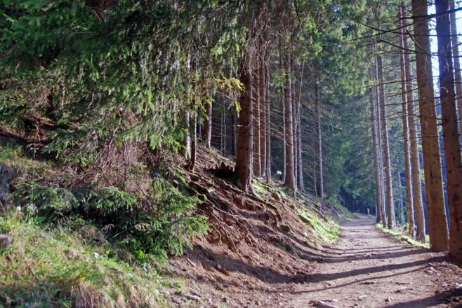 Auf dem Wallraffweg
