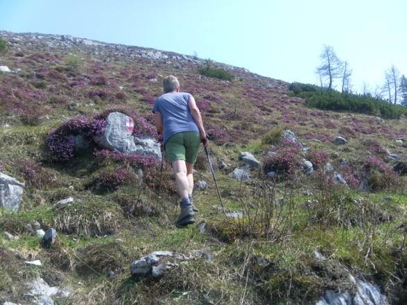 Hochbühel Gipfelflanke