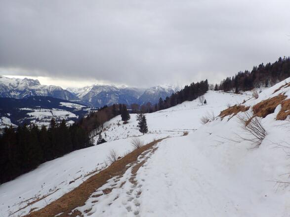 Fahrweg zwischen Nigelkaralm und Tenneralm