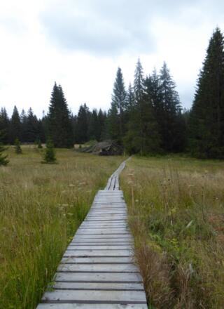 Pfade bei Fürstenhut