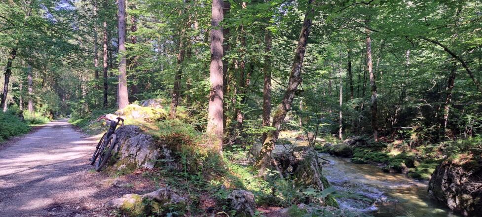 Gravelglück im einsamen Bluntautal...