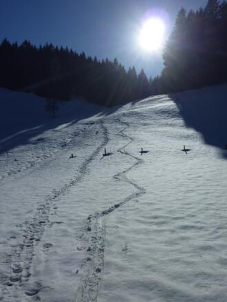 Für ein paar Schwünge reichts