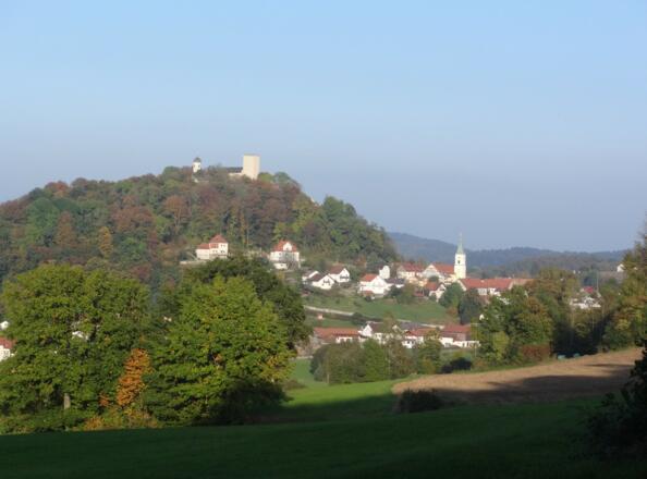 Blick auf Falkenstein
