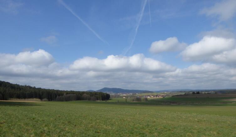 Blick zurück auf Rötz und den Schwarzwirhberg