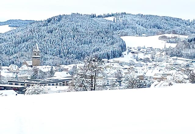 Blick auf Haslach