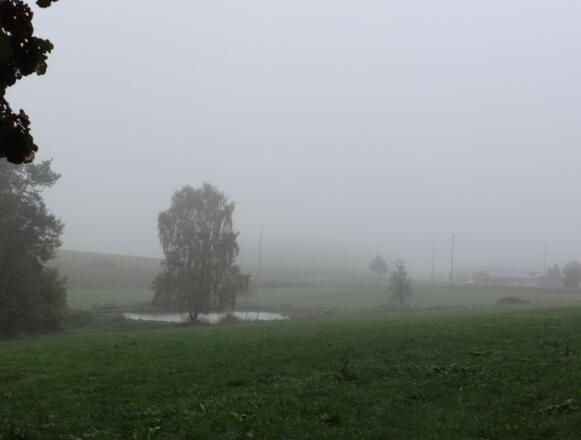 Blick Richtung Kleinwinklarner Sportplatz