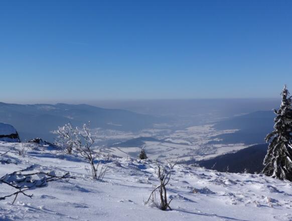 Blick auf lam