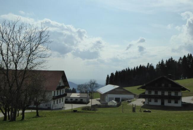 Blick auf Meinstorf