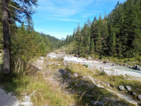 Die letzten Meter entlang des Wimbach.