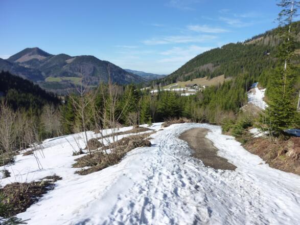 Am Fahrweg retour zum Parkplatz