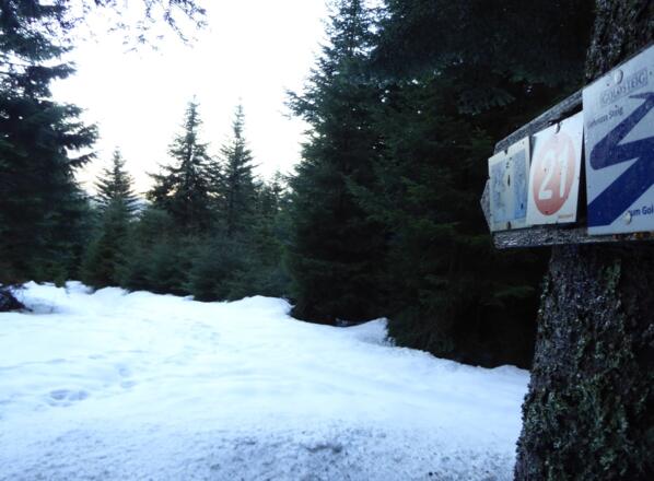 Vom Pröller geht es über den blauen Goldsteig weiter