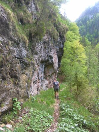 Alter Almweg