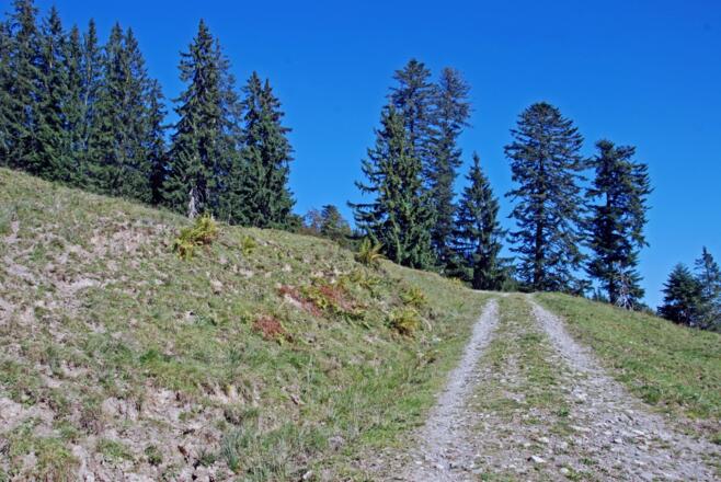 Aufstieg zur Höllritzer Alpe