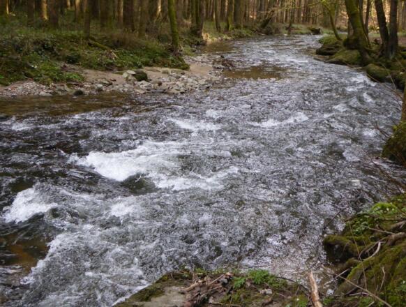 "Stromschnellen" im Perlbachtal