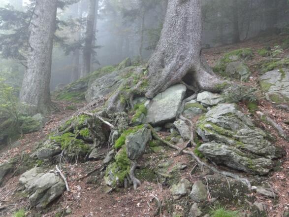 Aufstieg auf den Vogelsang