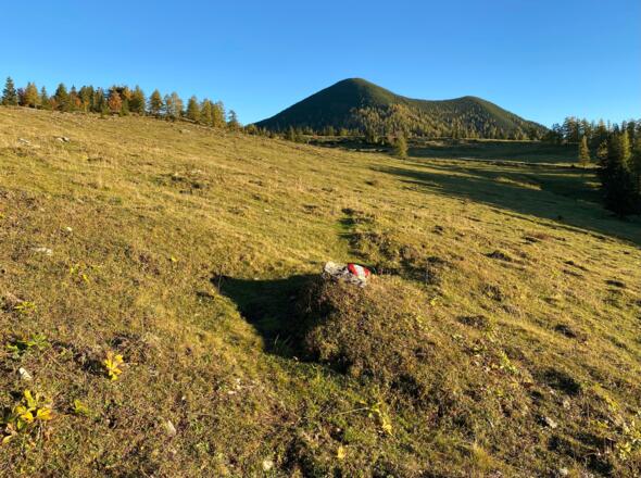 Blick zurück zum Leonsberg