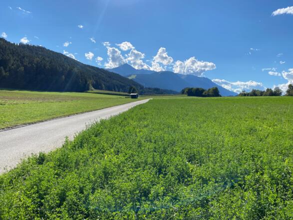 Nach der Talfahrt geht es nochmals kurz hinauf zum kleinen Dorf in Afling. Hinten ist das Gipfelplateau des Rangger Köpfl gut erkennbar.