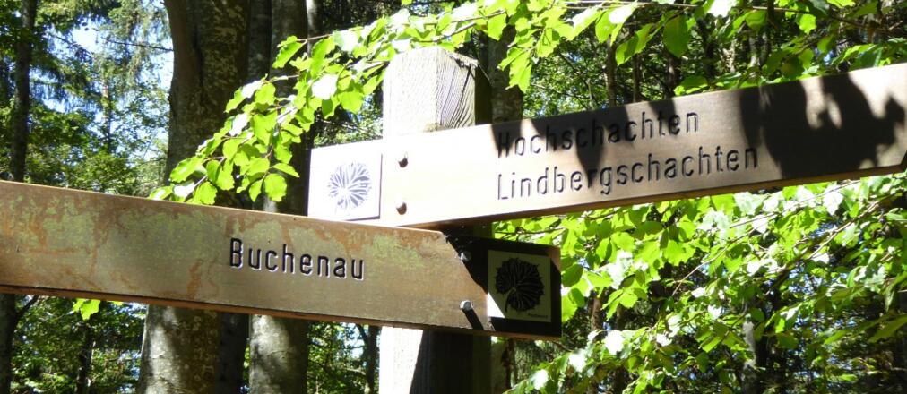 Abstieg nach Buchenau - Markierung Pestwurz