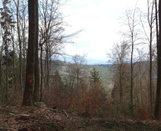 Blick in den Gäuboden