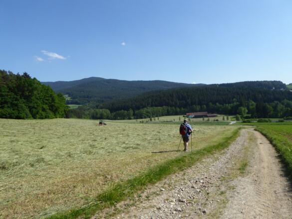 über die Wiese zum Watzlsteg