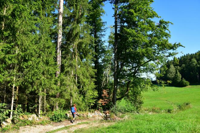 Auf unbefestigten Fahrweg in Richtung Mardetschlag