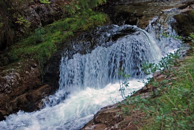 In der Weißbachschlucht