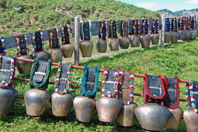 Kuhglockenparade der Alpe Mittelberg