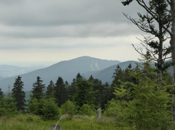 Blick zurück nach Eck / Skipiste