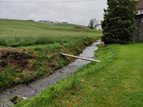 Gattern - "Brücke" über den Hagenbach