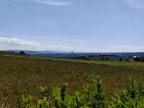 Blick auf Regensburg vom Nordwesten