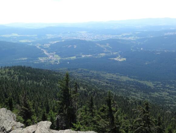 Blick vom Gr. Falkenstein auf Zwiesel