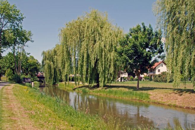 Im Beilngrieser Stadtpark