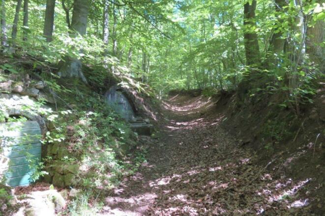 Hohlweg mit Keller