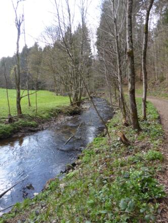 Staffelbach