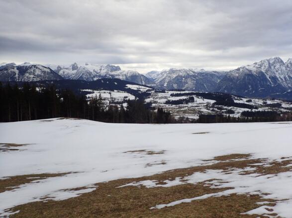 Oberhalb vom Wurzerbauer