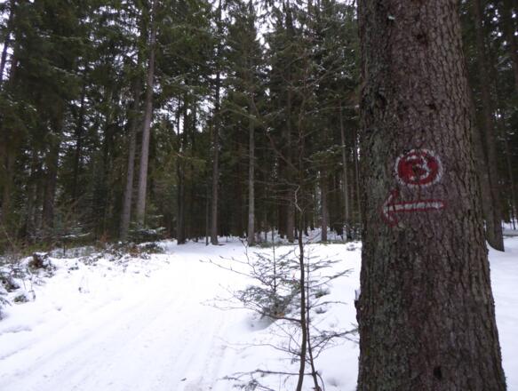 Markierung "Rot 3" - durchgehend
